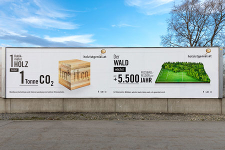 EPAMEDIA - ProHolz
